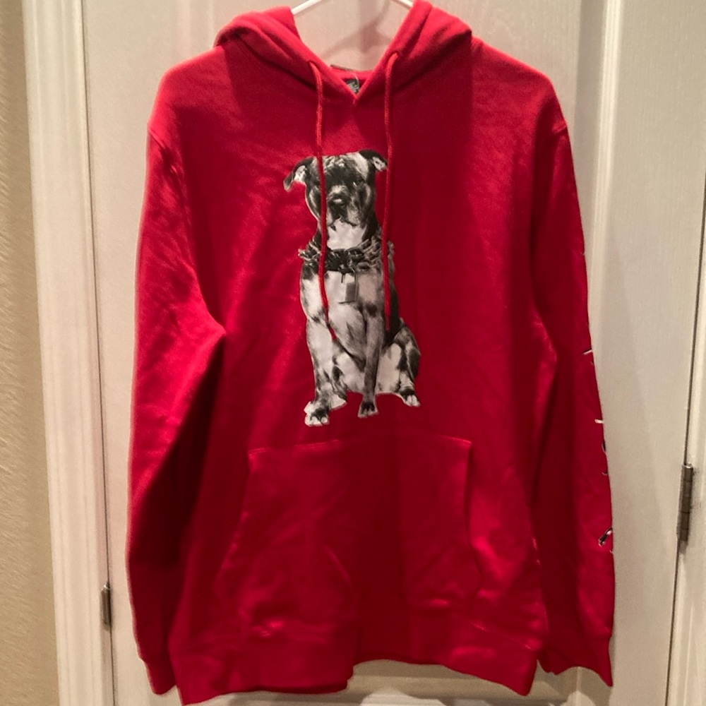 New Forever 21 Pitbull Hoodie